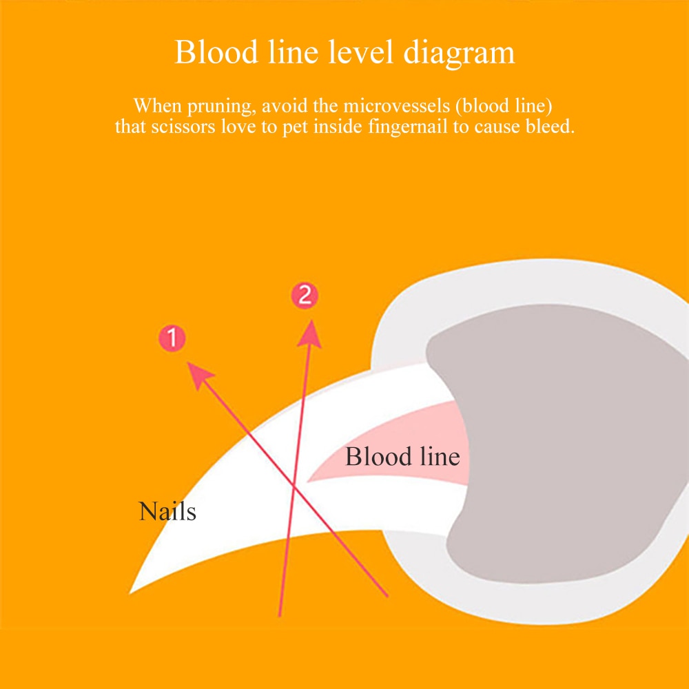 Professional LED Pet Nail Clipper