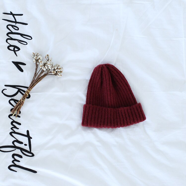 Autumn Knitting Wool Hat